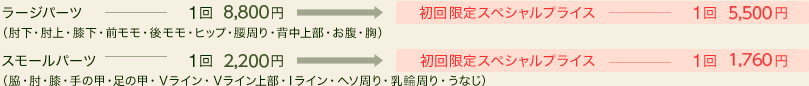 ラージパーツ（肘下・肘上・膝下・前モモ・後モモ・ヒップ・腰周り・背中上部・お腹・胸）1回8,400円→期間限定スペシャルプライス1回5,250円、スモールパーツ（脇・肘・膝・手の甲・足の甲・Ｖライン・Ｖライン上部・Iライン・ヘソ周り・乳輪周り・うなじ）1回2,100円→期間限定スペシャルプライス1回1,680円